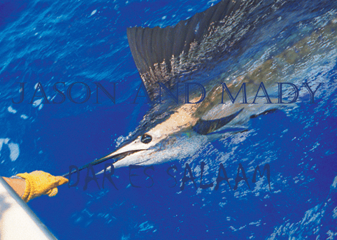 
- Sailfish
- Place: Zanzibar Channel
- Boat: Kelly II
- Skipper: Maddalena Martinengo
- Mate: Jason Alexiou, Bernard